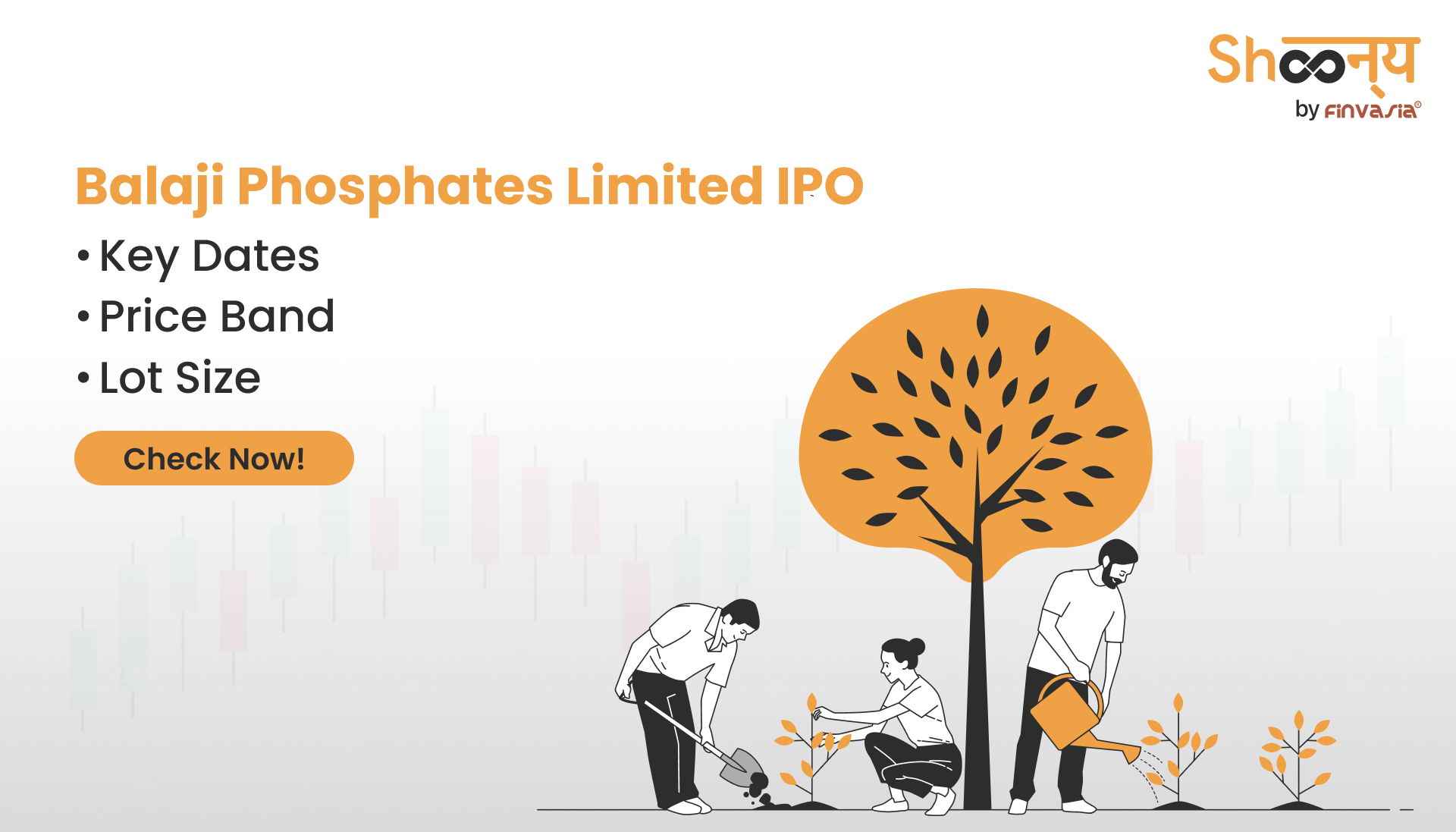 Balaji Phosphates Limited IPO