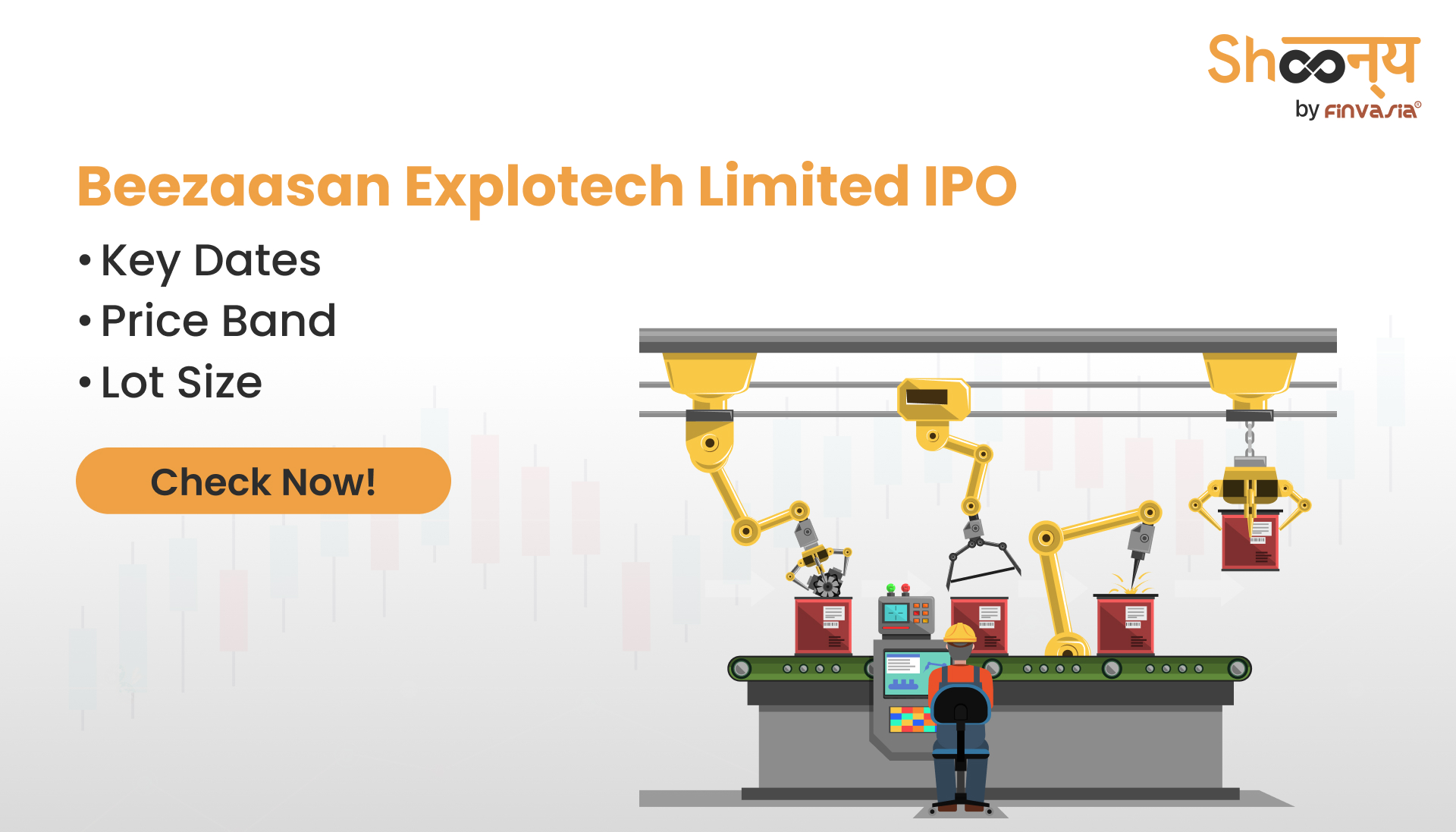 Beezaasan Explotech Limited IPO