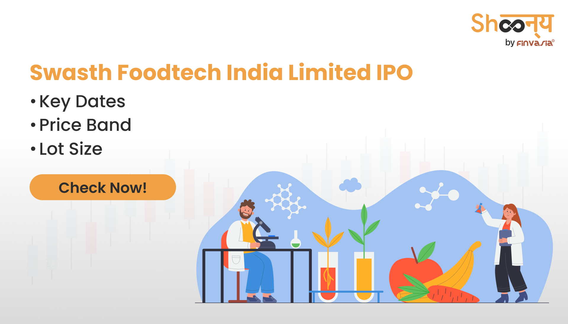 Swasth Foodtech India Limited IPO